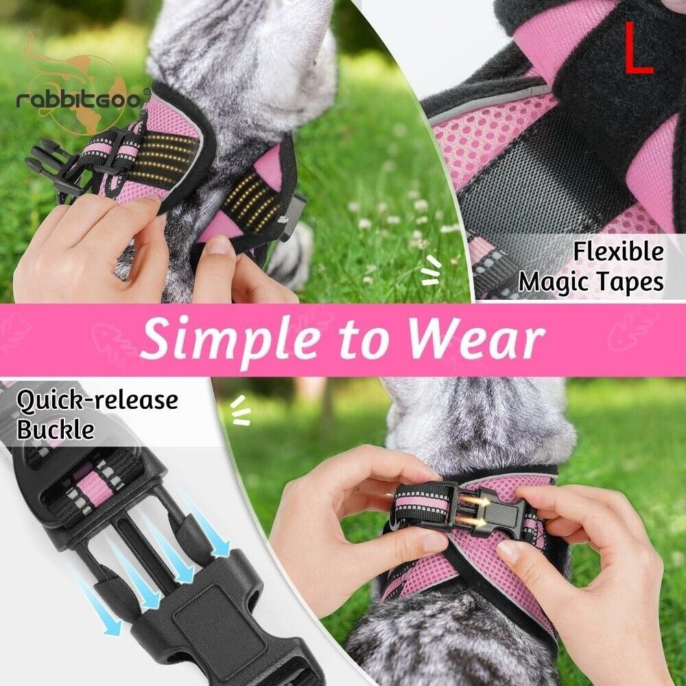 Reflective Pet Harness And Leash Set For Dogs And Cats, Adjustable Puppy Cat Vest Harness With Soft Mesh