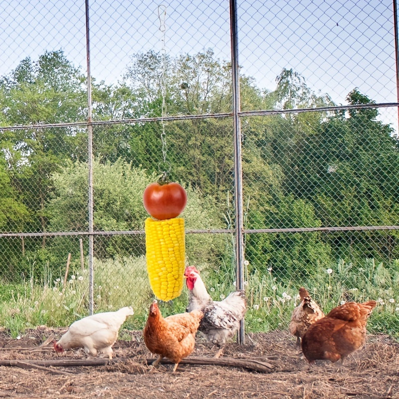 5pcs Chicken Toys for Coop Accessories | Chicken Xylophone | Chicken Swing Perch | Chicken Flexible Ladder | Chicken Vegetable Fruit Hanging Feeders Chicken Enrichment for hens in Coop Bird Parrot
