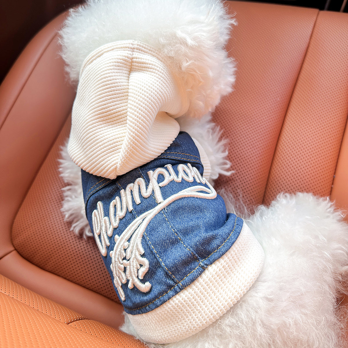 Chic Denim Dog Jacket for Small Breeds - Cozy & Stylish Pet Apparel with Snap Closure, Perfect for Fall/Winter