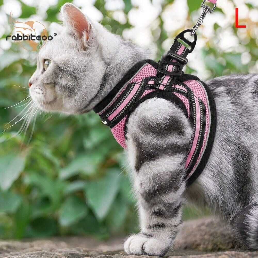 Reflective Pet Harness And Leash Set For Dogs And Cats, Adjustable Puppy Cat Vest Harness With Soft Mesh
