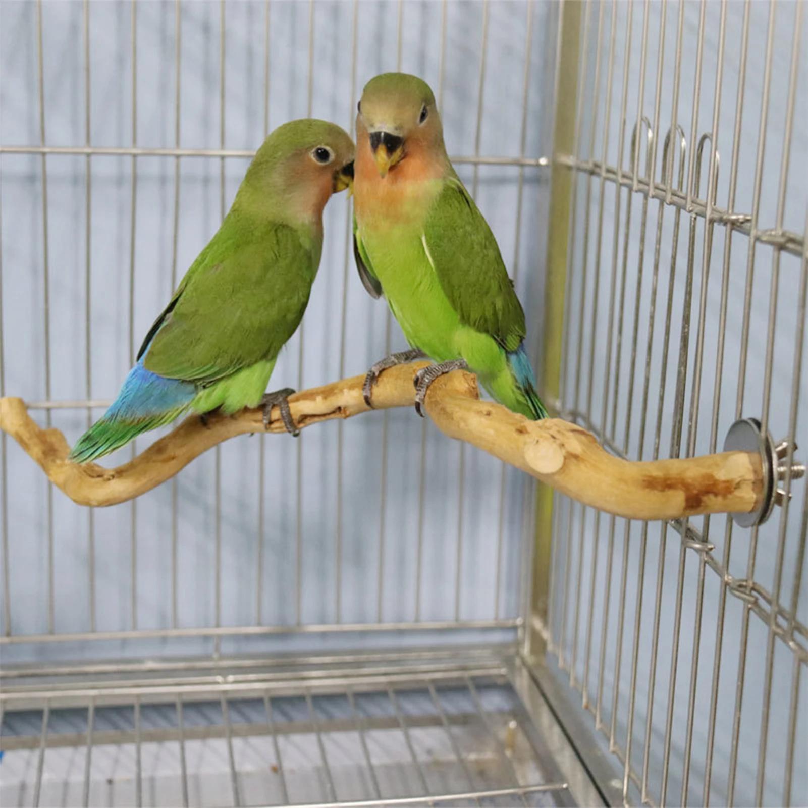 Deluxe Parrot Perch Tree - Sturdy Hanging Bird Stand with Paw Grinding Fork, Climbing Branch, and Birdcage Accessories for Parakeet and Small Bird Entertainment, Exercise, and Training