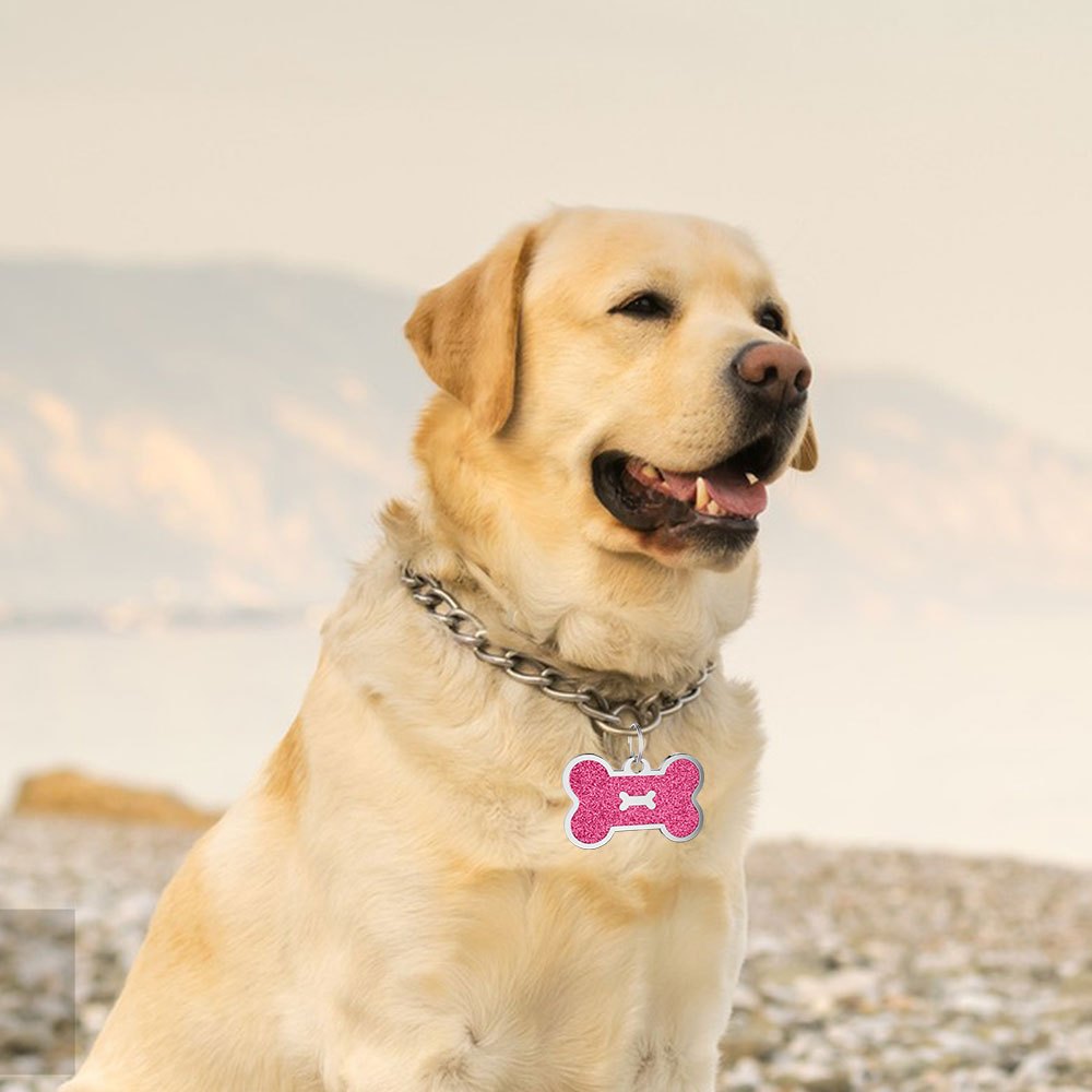 Personalized Dog Tags for Pets Carved Dog Name Tags Sparkles Bone Shape Cat And Dog Name Tags, Anti-stray