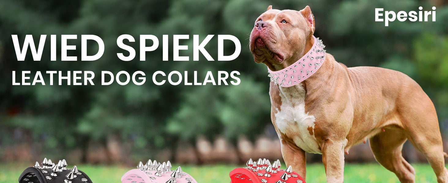 [Golden Spiked Collar] Epesiri Wide Golden Spiked Dog Collar | Adjustable Durable Spike Studded Pet Collar for Pitbull Mastiff Bulldog Pugs Husky Rottweiler