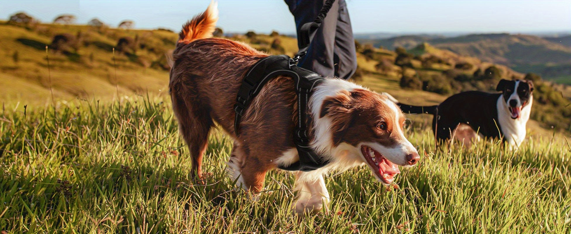 1pc Escape-Proof Dog Harness, Reflective No-Pull Pet Harness with 2 Metal Rings and Easy Control Handle, Adjustable and Comfortable Soft Padded Dog Vest for Easy Walking, Black
