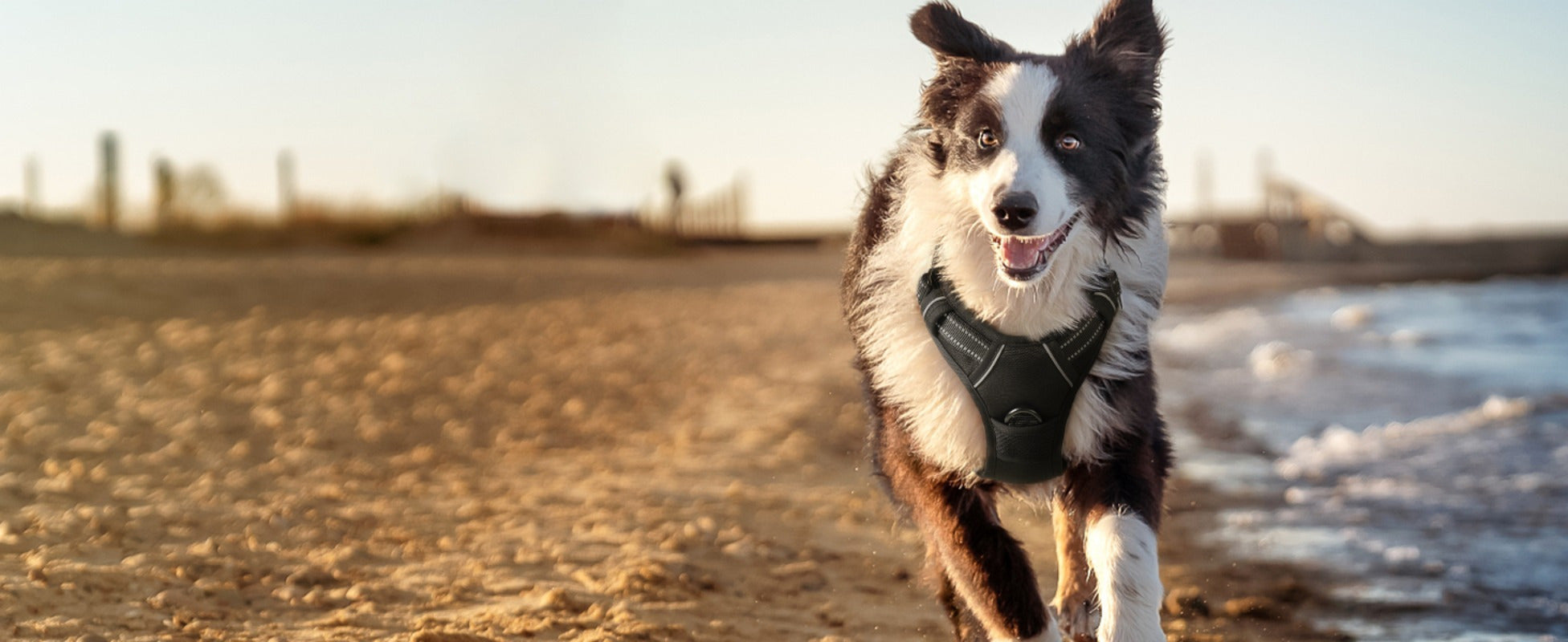 1pc Escape-Proof Dog Harness, Reflective No-Pull Pet Harness with 2 Metal Rings and Easy Control Handle, Adjustable and Comfortable Soft Padded Dog Vest for Easy Walking, Black