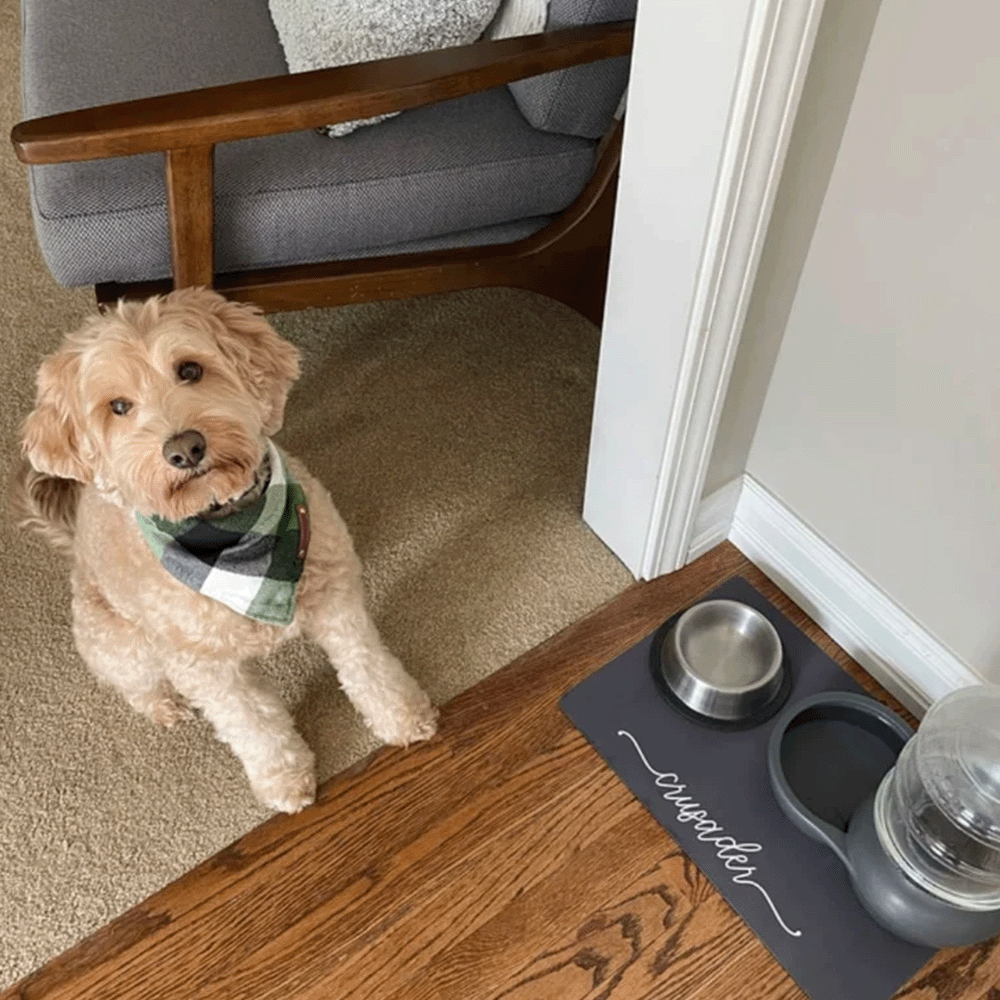 [Personalized Pet Feeding Mat] Personalized High-Quality PU Pet Feeding Mat - Custom Laser Engraved Design with Pattern for Comfortable Dining Experience