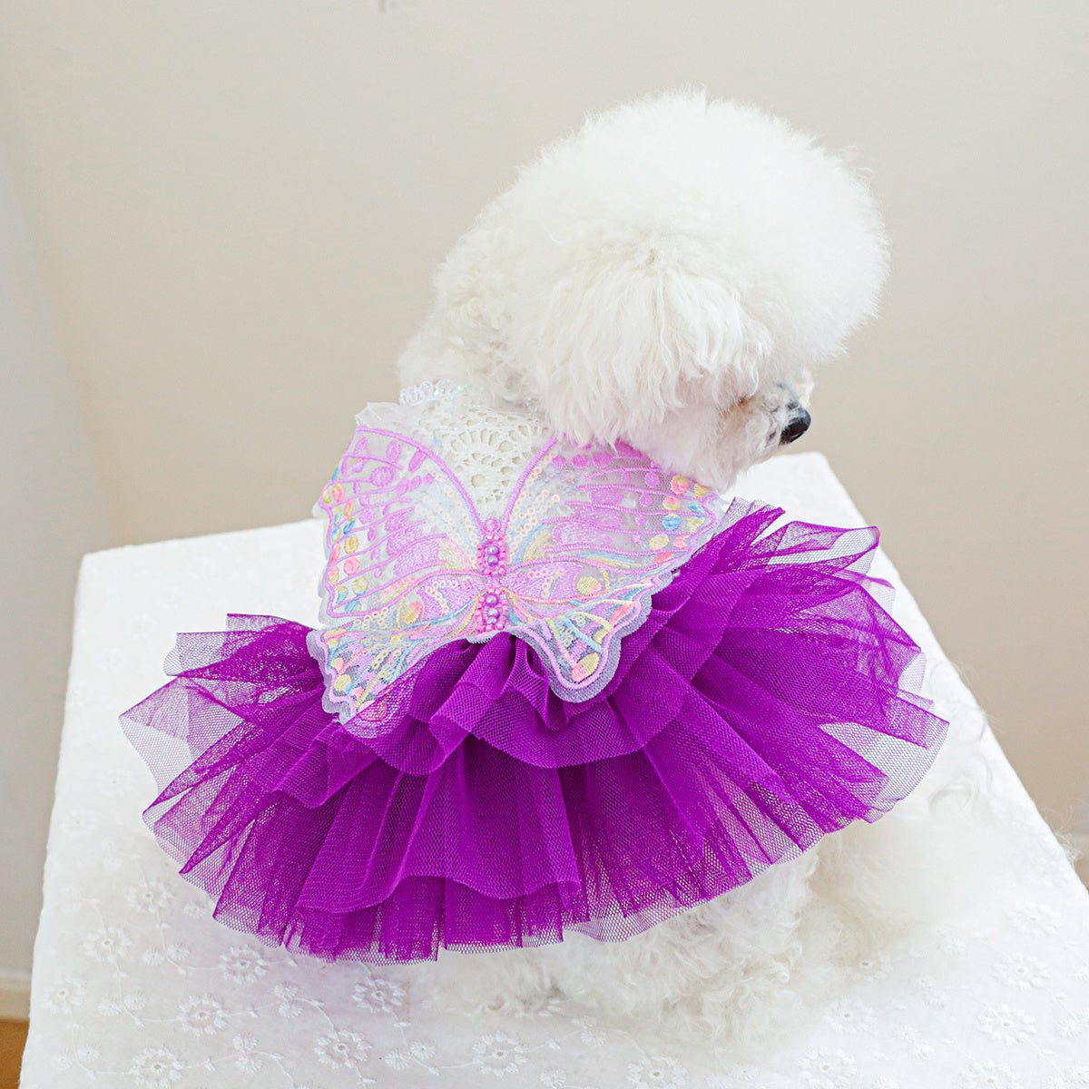 Cozy Butterfly Fairy Tulle Dog Dress - Warm Pet Apparel for Small Breeds, Perfect for Spring & Fall