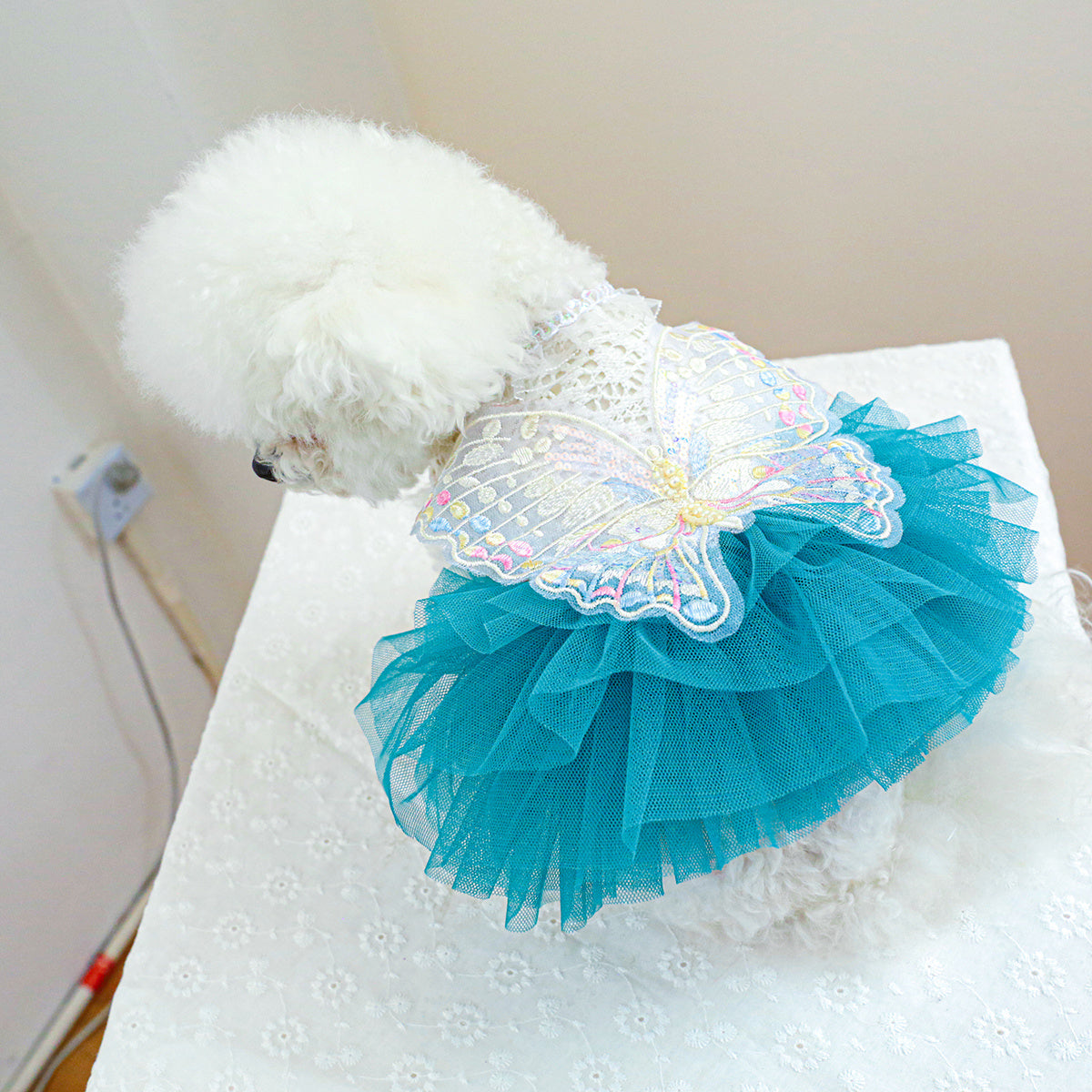 Cozy Butterfly Fairy Tulle Dog Dress - Warm Pet Apparel for Small Breeds, Perfect for Spring & Fall