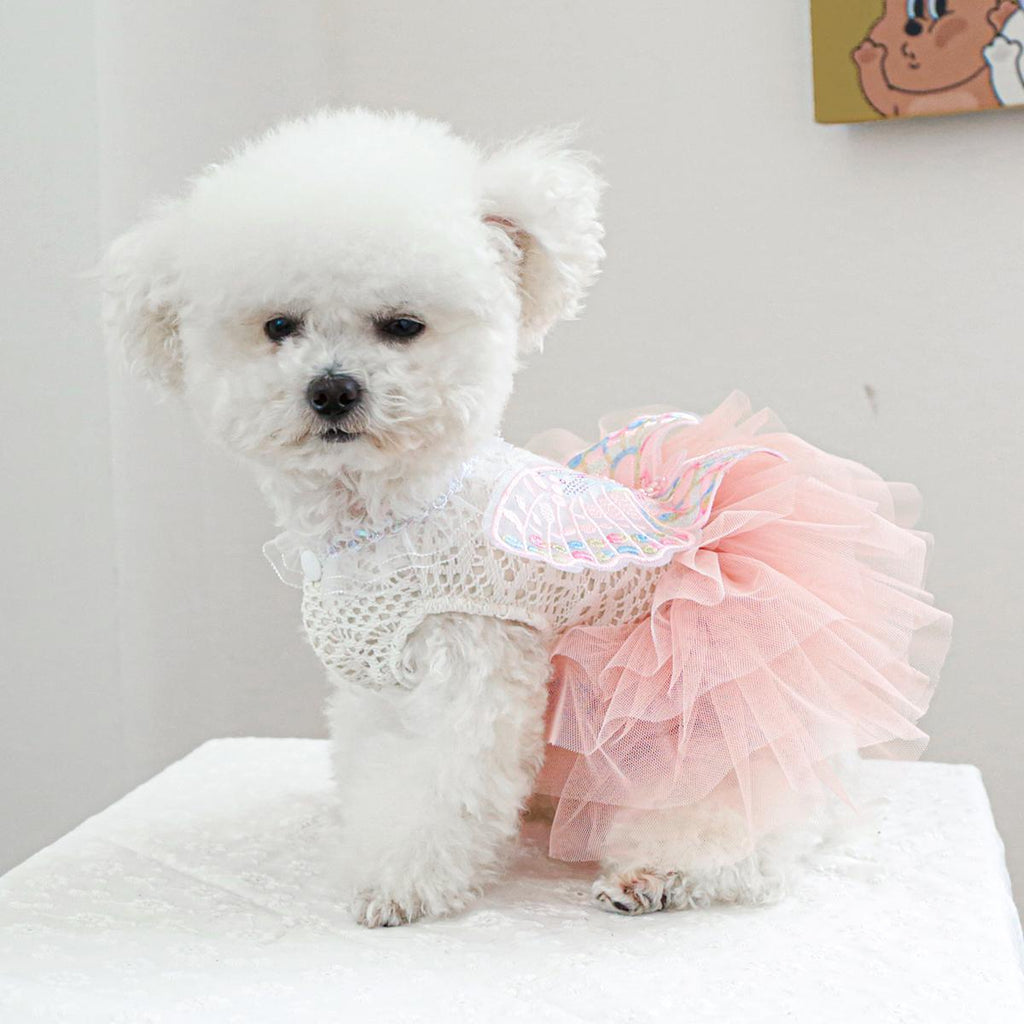 Cozy Butterfly Fairy Tulle Dog Dress - Warm Pet Apparel for Small Breeds, Perfect for Spring & Fall