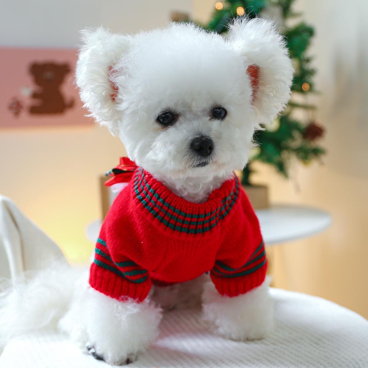 Holiday Cheer Dog Sweater - Cozy Acrylic Knit Pullover for Small Breeds, Comfortable & Warm Pet Apparel for Autumn & Winter