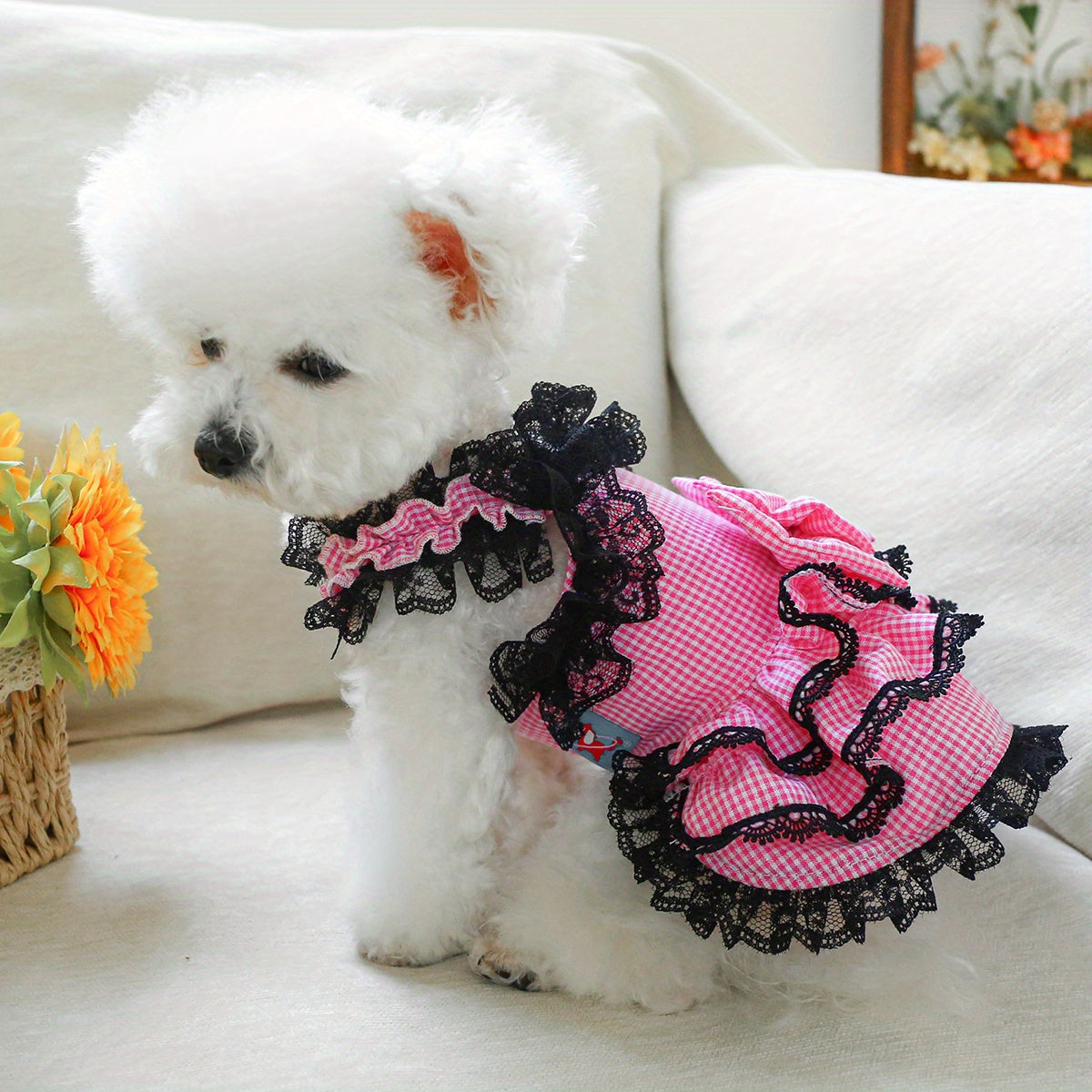 [Small Chic Pink Lace Dress] Chic Pink Lace Dog Dress - Comfortable & Stylish Pet Apparel for Small Breeds, Perfect for Spring/Summer