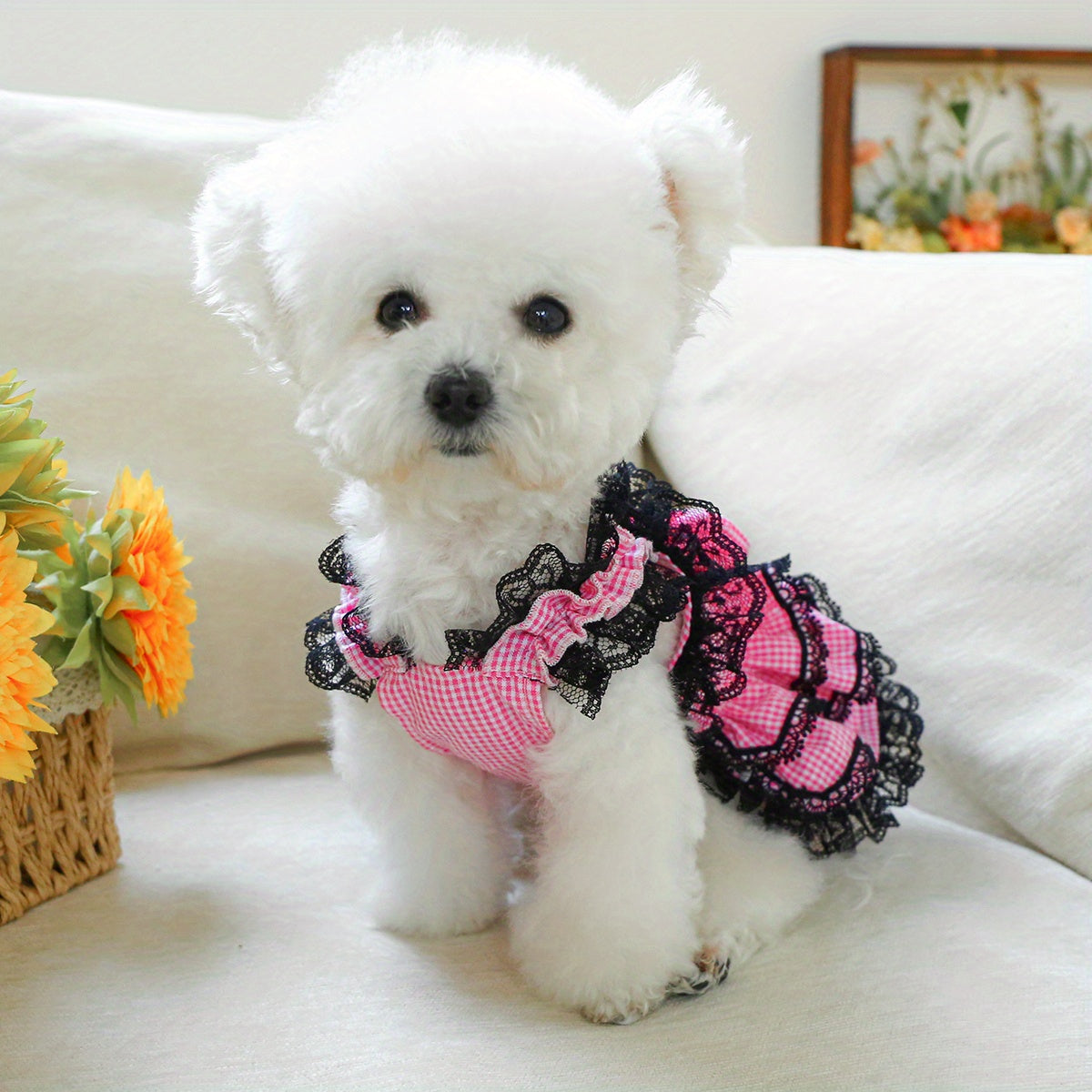 [Small Chic Pink Lace Dress] Chic Pink Lace Dog Dress - Comfortable & Stylish Pet Apparel for Small Breeds, Perfect for Spring/Summer