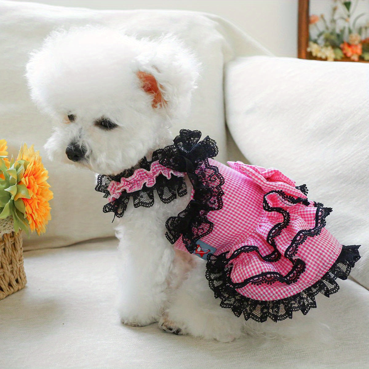 [Small Chic Pink Lace Dress] Chic Pink Lace Dog Dress - Comfortable & Stylish Pet Apparel for Small Breeds, Perfect for Spring/Summer