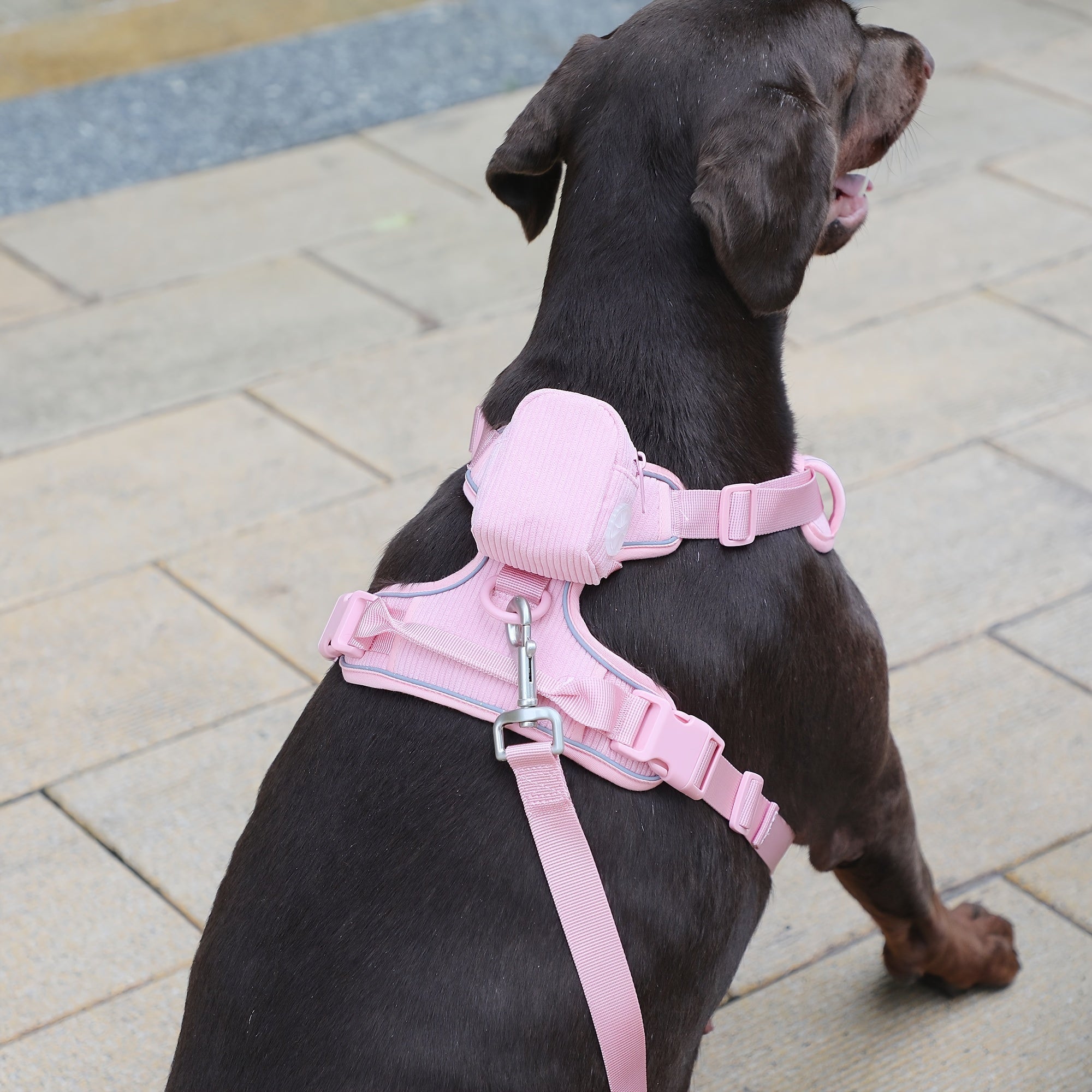 Fashionable And Cute Corduroy Pet Harness