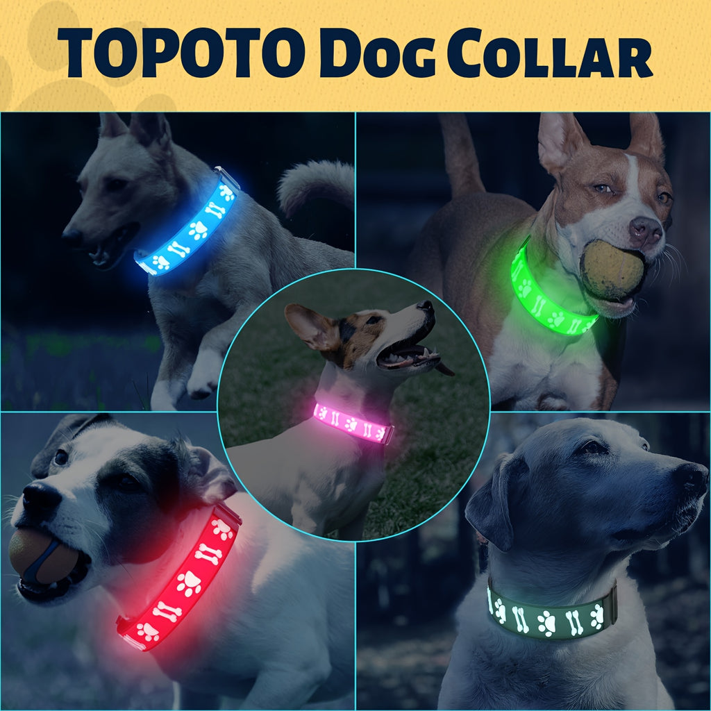 LED Dog Collar