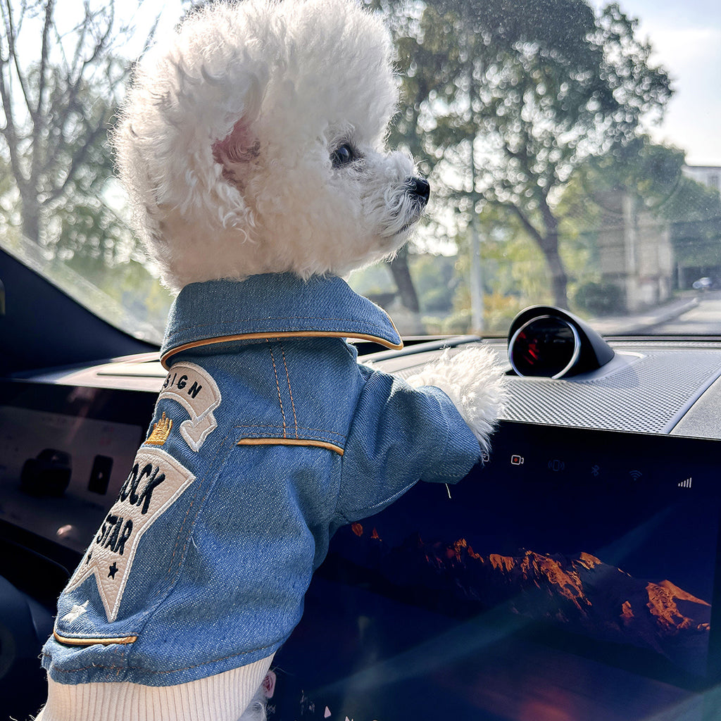Chic Denim Dog Jacket for Small Breeds - Cozy & Stylish Pet Apparel with Snap Closure, Perfect for Fall/Winter