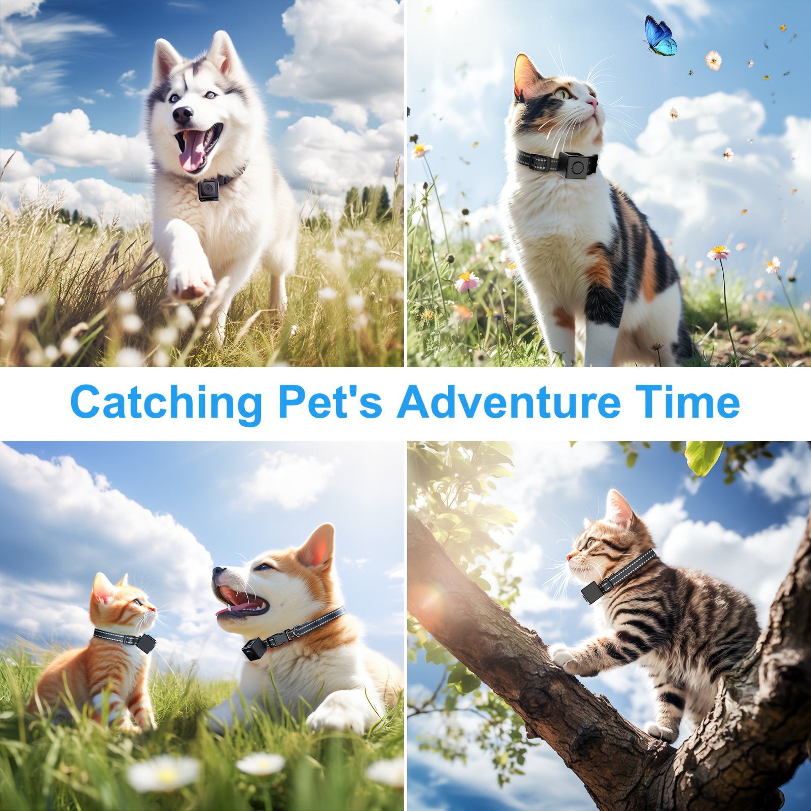 [No WiFi Needed] Cat Collar Camera | XS-Size | Cordless | Video Record | Pet Collar Camera Outdoor