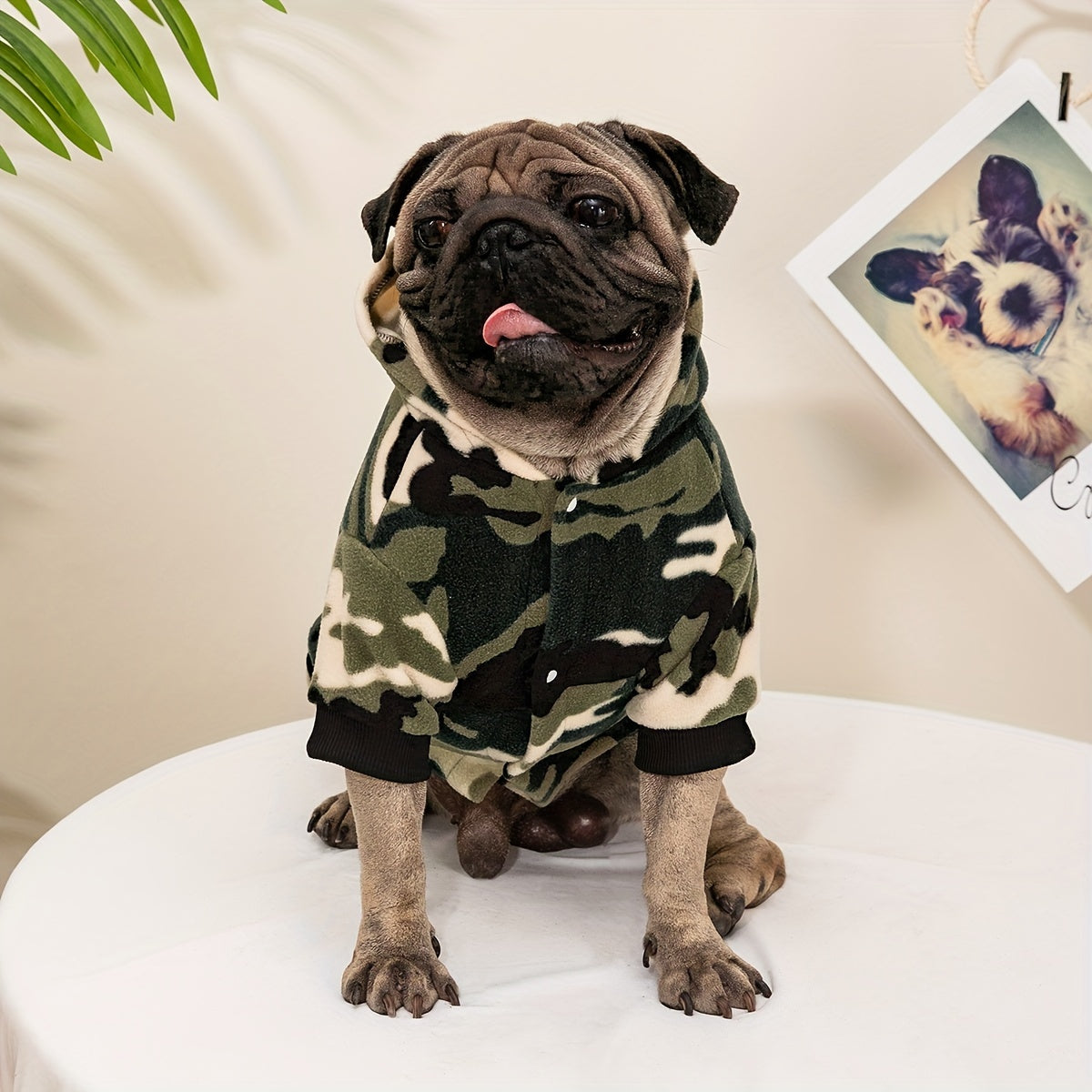 BABANY BEBE Dog Hooded Jacket - Camouflage Print Winter Coat for Small to Medium Dogs, Warm Outdoor Pet Apparel with Snap Buttons, Hand Wash Only, Stylish Fall & Winter Dogwear, Dog Winter Jacket, Cozy Dogwear, Durable Dogwea