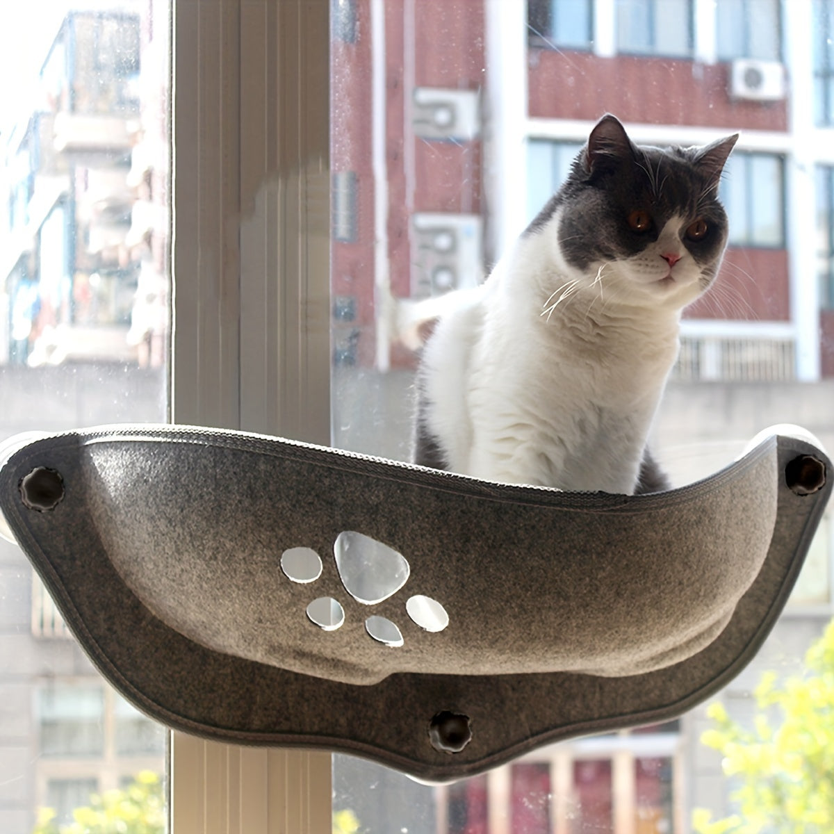 [1pc Window Cat Bed] 1pc Durable Polyester Fiber Crescent Window Cat Bed with Strong Suction Cups | Window Hanging Perch, Removable Pet Bed for Small & Medium Cats, No Assembly Needed | Sunbathing & Sleeping Spot, Ideal Gift