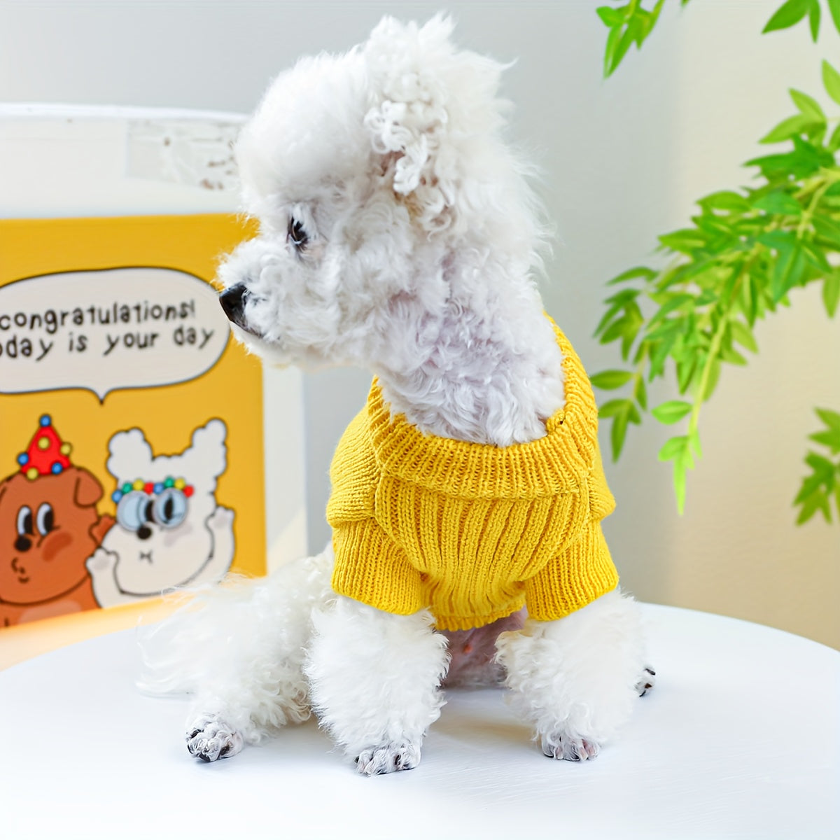 Small Breed Dinosaur Costume Dog Sweater - Yellow Acrylic Knit Pullover for Teddy, Pomeranian, Bichon, Poodle - Warm Autumn and Winter Pet Apparel
