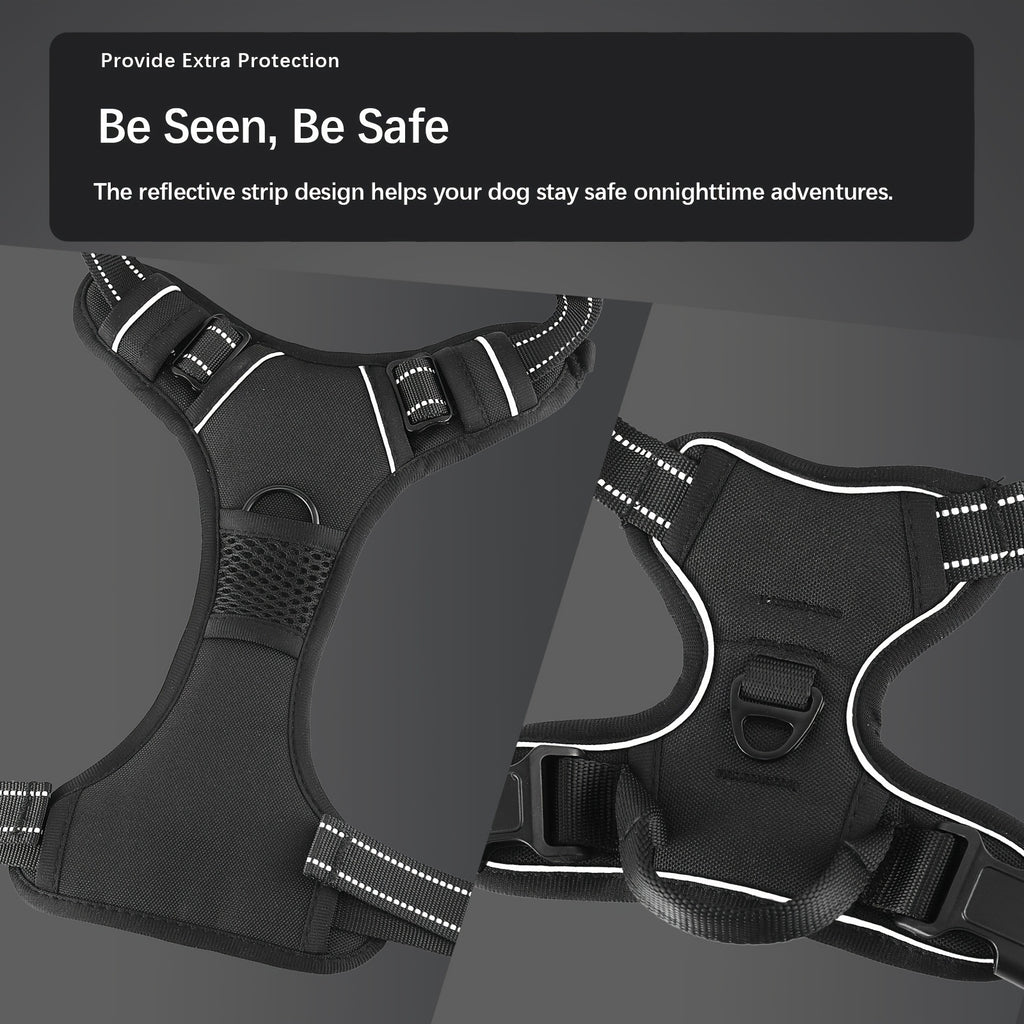 dog harness and leash set