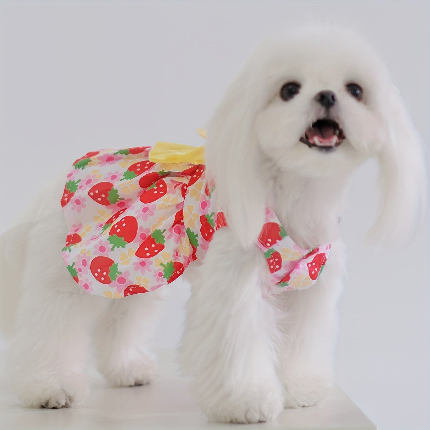 5pcs Floral Princess Dress Set for Small Dogs & Cats - Breathable Summer Pet Apparel with Bowknot, Ideal for Yorkies, Bulldogs, Bichons, Pomeranians, Chihuahuas, for Autumn, Spring