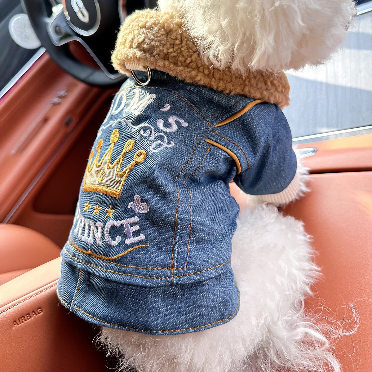 [Chic Denim Dog Jacket] Comfortable Chic Denim Dog Jacket for Small Breeds - Tail Wagging, Stylish Pet Apparel with Snap Closure, Perfect for Spring/Fall