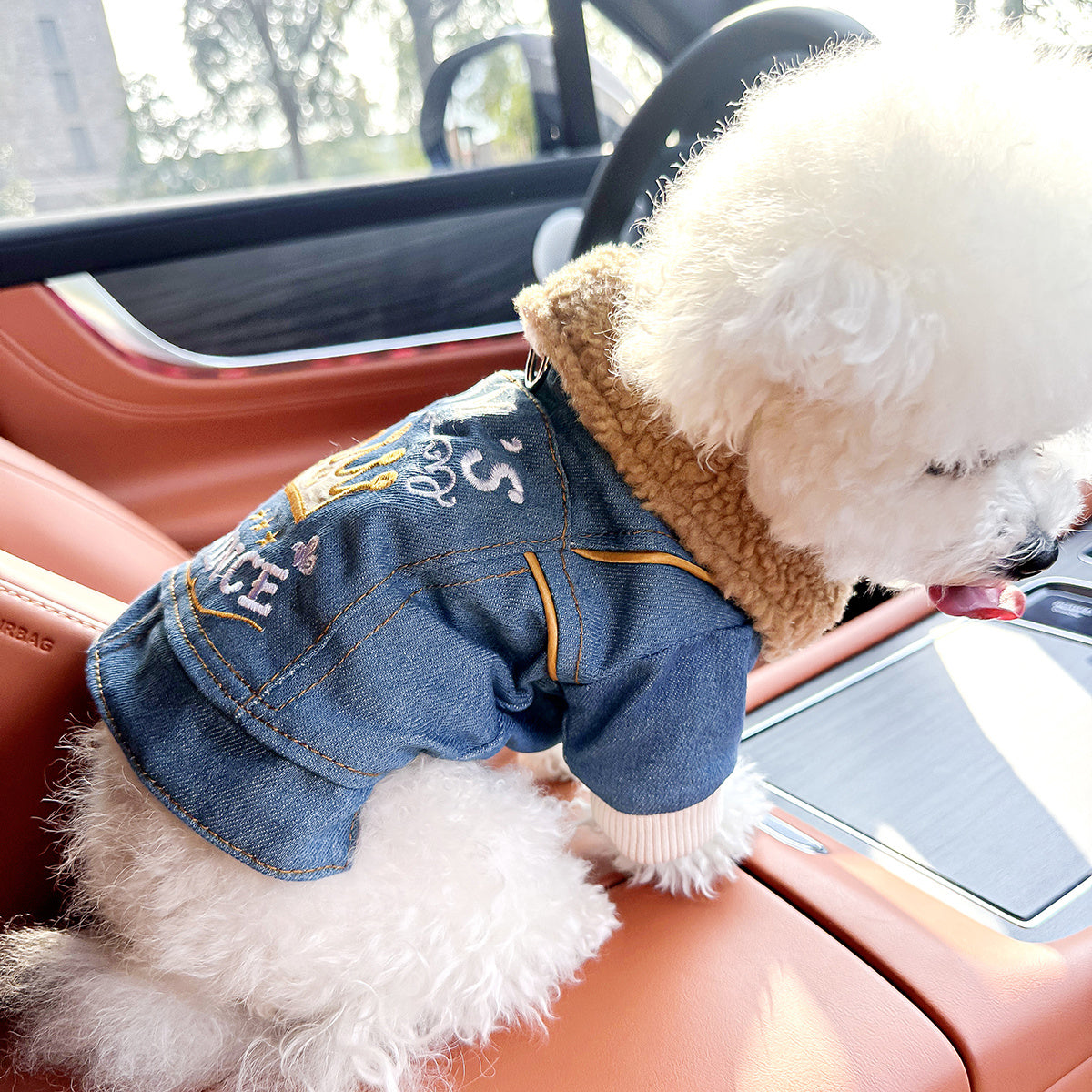 [Chic Denim Dog Jacket] Comfortable Chic Denim Dog Jacket for Small Breeds - Tail Wagging, Stylish Pet Apparel with Snap Closure, Perfect for Spring/Fall