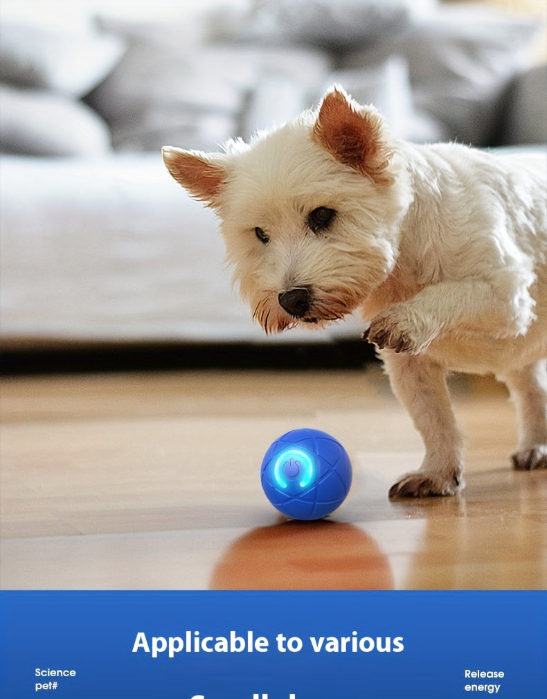 High-Quality, Durable And Interactive Pet Ball