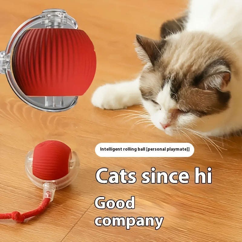 Interactive Pet Toy - 1pc Striped Silicone Magic Ball, USB Charging, Automatic Rolling, Cartoon Design for Small Dogs & Cats