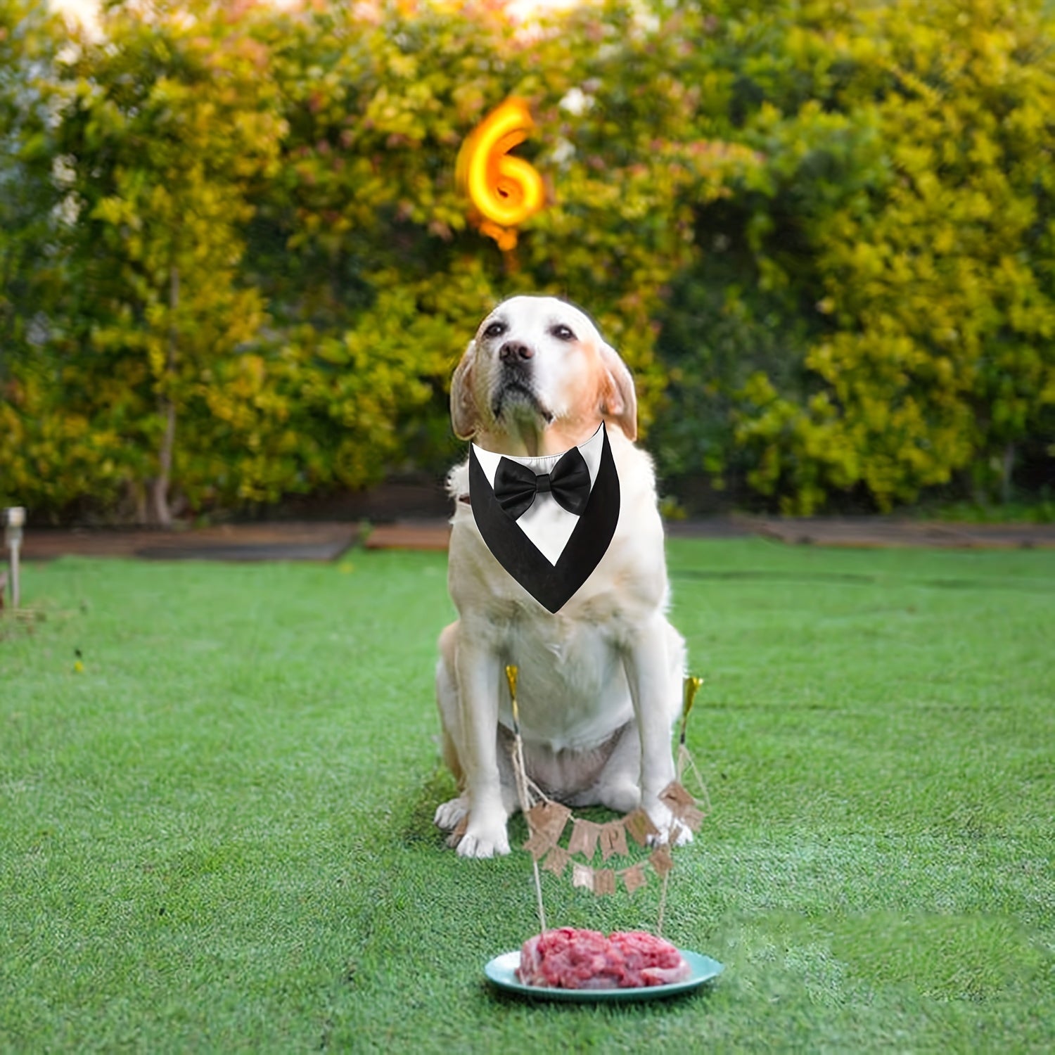 Elegant Dog Tuxedo Bandana with Bowtie Collar - Formal Pet Wedding Scarf, Adjustable Party Tails Suit, Ideal for Small to Medium Breeds, Polyester Dog Birthday Attire, Valentine's Day Costume for Pets