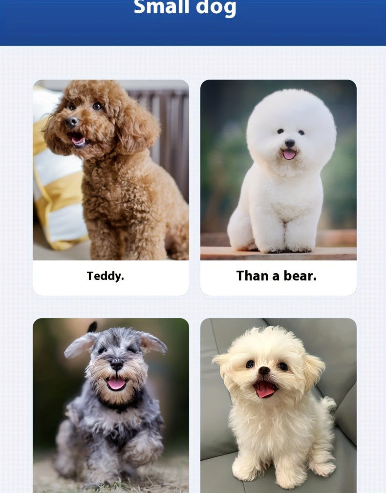 High-Quality, Durable And Interactive Pet Ball