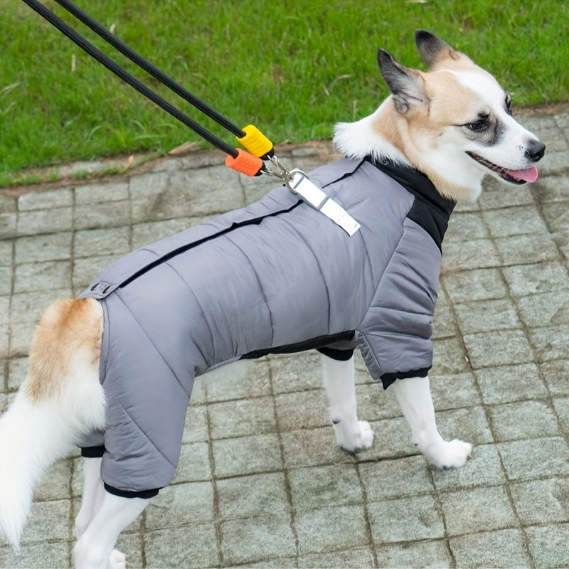 Cozy Winter Clothing - Keep Your Pets Warm - Pet Apparel