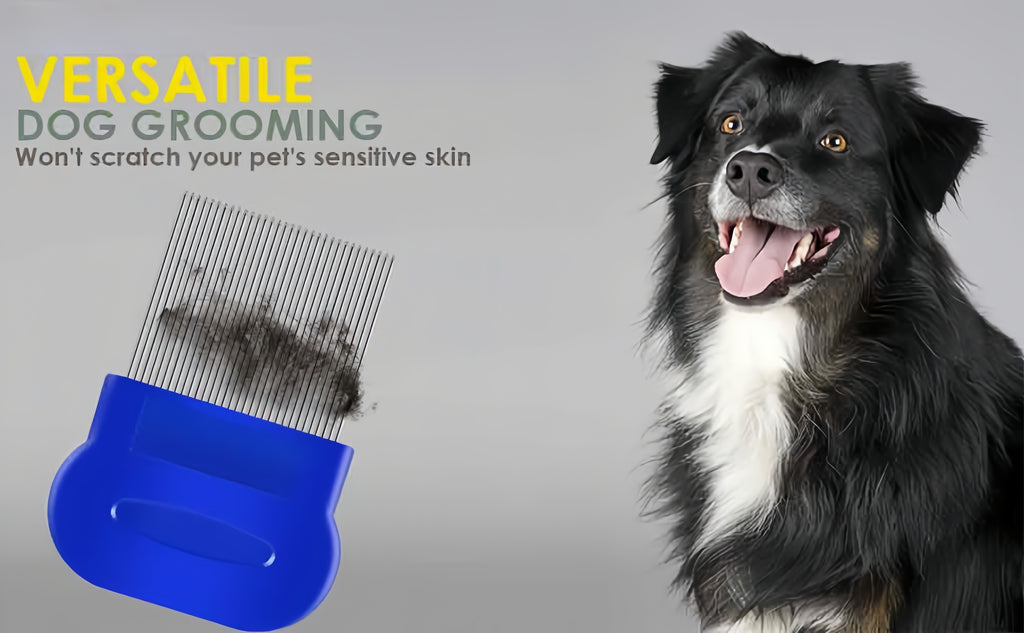 4pcs Flea & Lice Comb Set for Dogs and Cats - Stainless Steel, Blue, Double-Sided with Round Teeth, Ergonomic Handle, Professional Pet Grooming Tools, Ideal for All Pet Sizes, Pet Hygiene Essentials|Doublesided Comb|Durable P