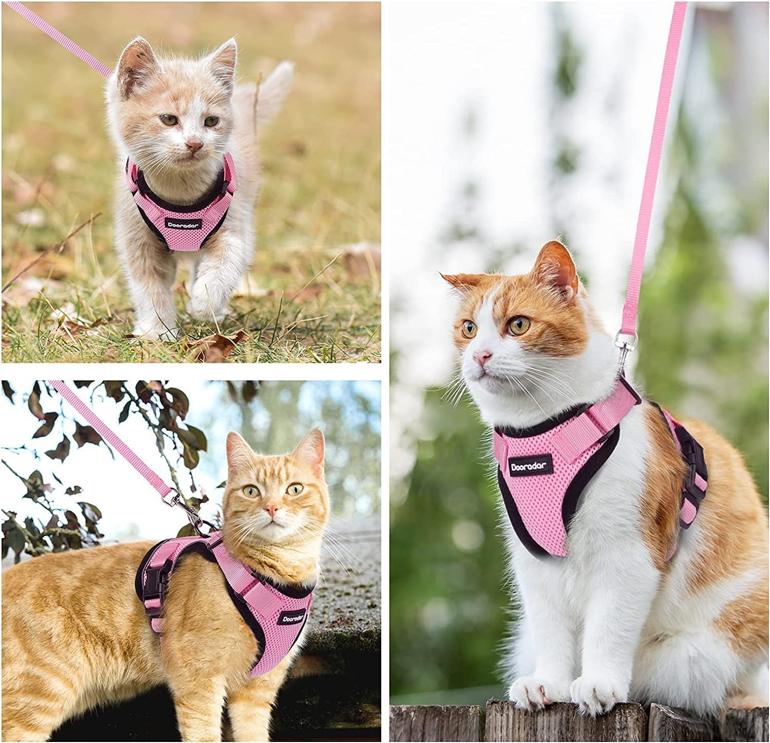 Reflective Pet Harness And Leash Set For Dogs And Cats, Adjustable Puppy Cat Vest Harness With Soft Mesh
