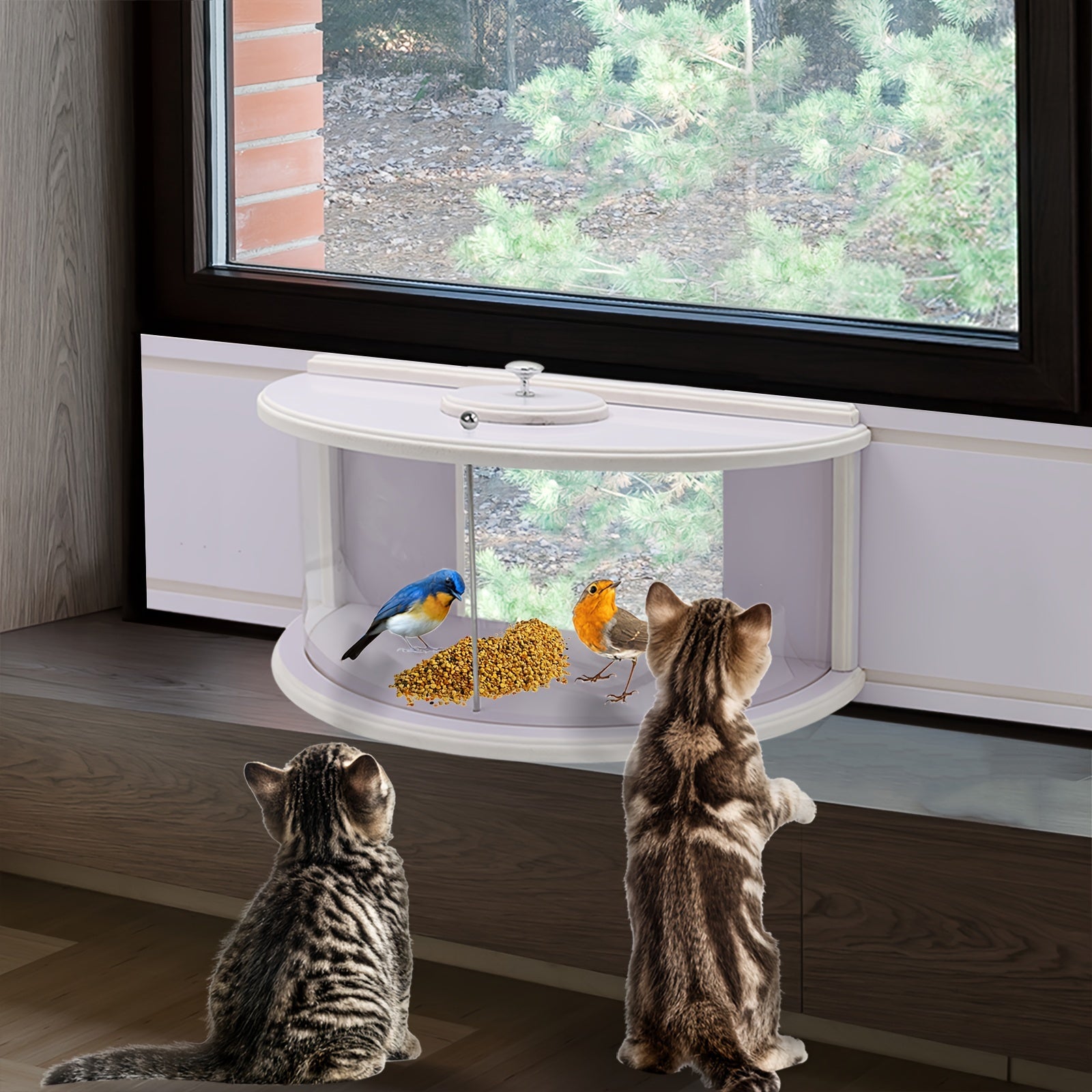 1pc Window Bird Feeder with 180° Clear View - Easy Install, No Battery Needed, Durable Plastic, Perfect for Outdoor Home Decor