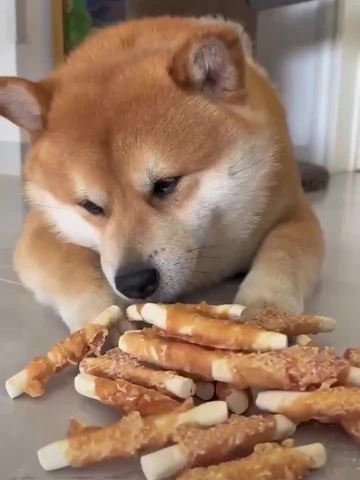 Dog Snacks, Cat Snacks, Duck Meat, Chicken, Milk Stick, Duck Meat, Chicken Breast, Molar Teeth Cleaning Stick, Dog Calcium Supplement And Vitamin Supplement Are Suitable For Pets, Cats And Dogs.