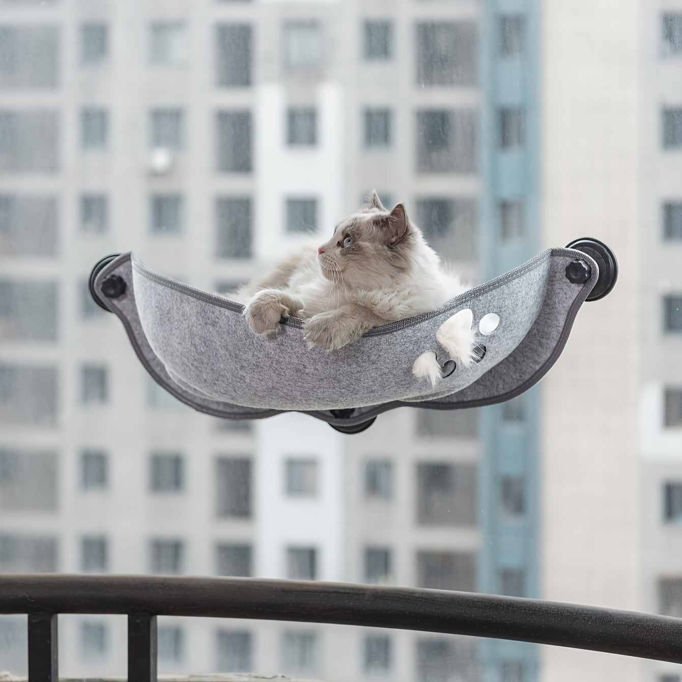 [1pc Window Cat Bed] 1pc Durable Polyester Fiber Crescent Window Cat Bed with Strong Suction Cups | Window Hanging Perch, Removable Pet Bed for Small & Medium Cats, No Assembly Needed | Sunbathing & Sleeping Spot, Ideal Gift