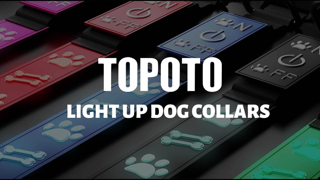 LED Dog Collar