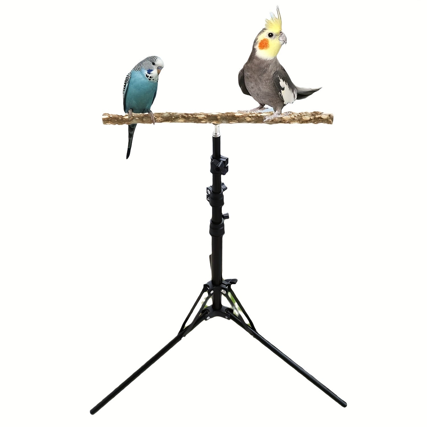 1pc Adjustable 16-63 Inch Parrot Perch Stand, Bird Training Toy, Indoor And Outdoor Bird Stands For Small To Medium Birds