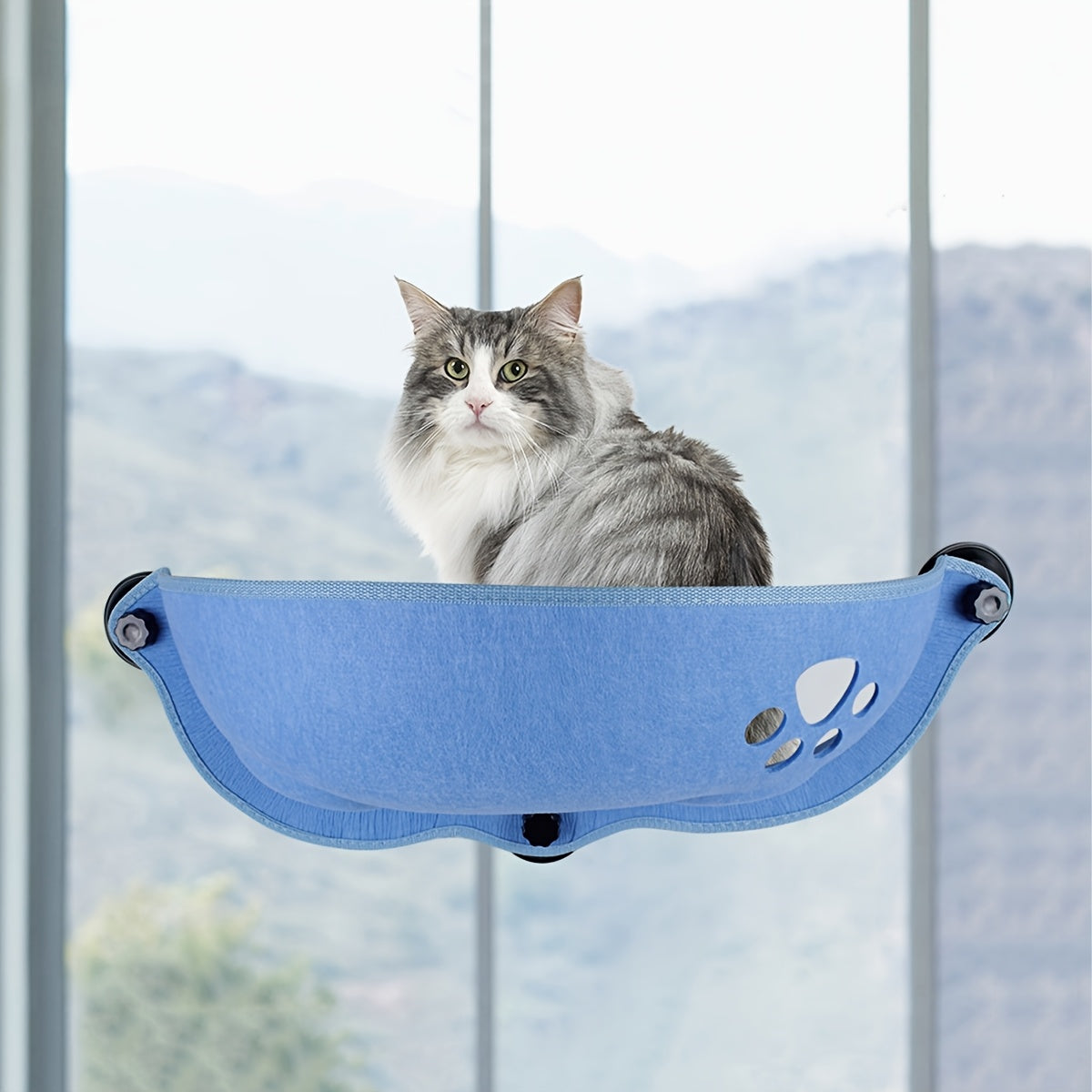 [1pc Window Cat Bed] 1pc Durable Polyester Fiber Crescent Window Cat Bed with Strong Suction Cups | Window Hanging Perch, Removable Pet Bed for Small & Medium Cats, No Assembly Needed | Sunbathing & Sleeping Spot, Ideal Gift