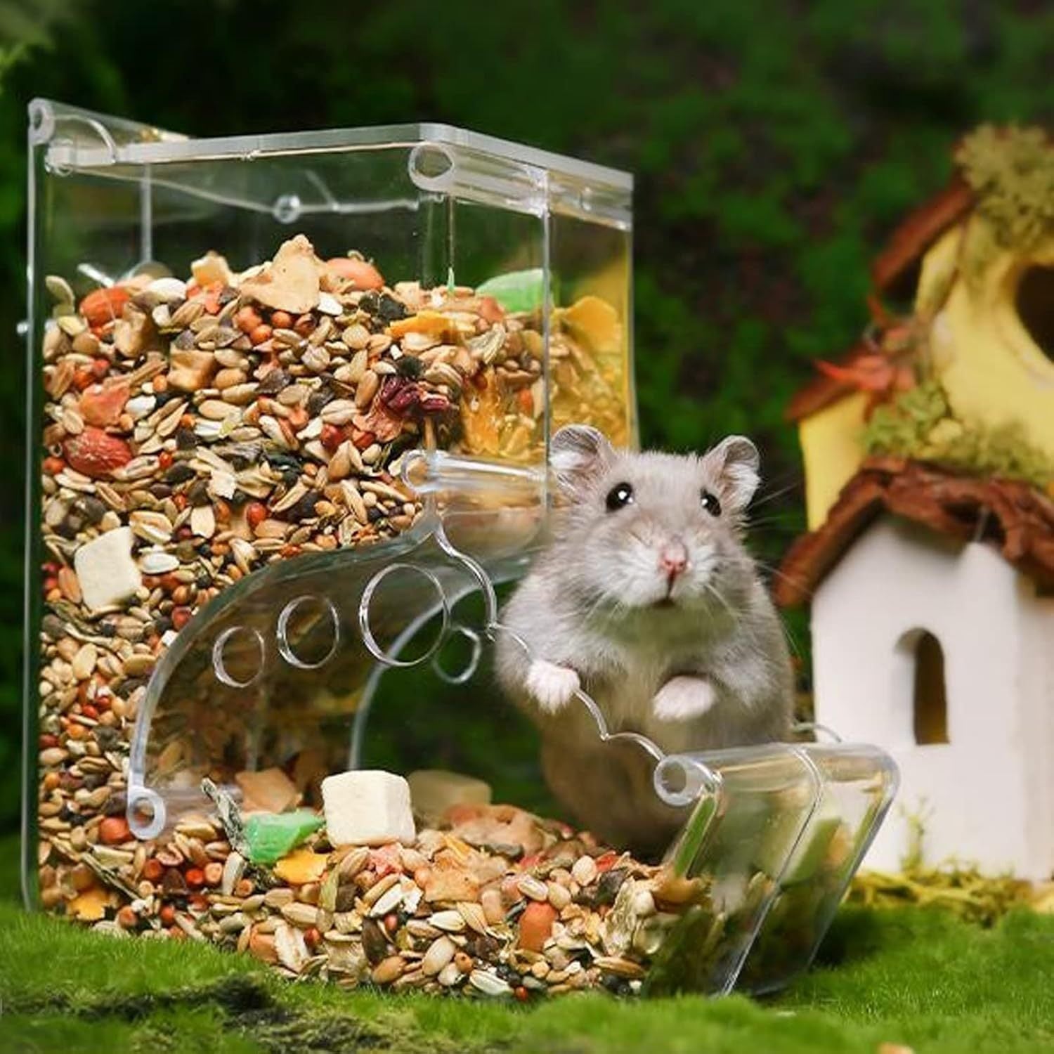 Pet Feeding Dispenser for Dwarf Hamsters, Gerbils, Hedgehogs, Guinea Pigs, Birds and Other Small Pets - Acrylic Transparent Pet Food Storage Bowl