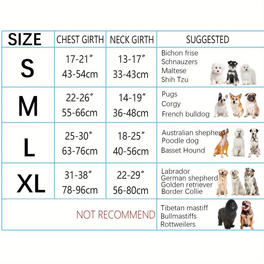 dog harness and leash set