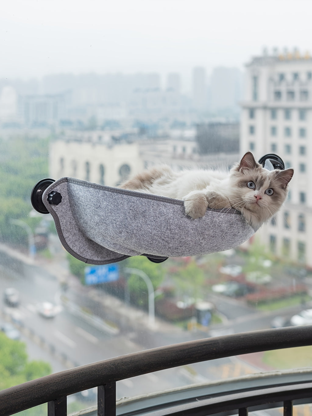 [1pc Window Cat Bed] 1pc Durable Polyester Fiber Crescent Window Cat Bed with Strong Suction Cups | Window Hanging Perch, Removable Pet Bed for Small & Medium Cats, No Assembly Needed | Sunbathing & Sleeping Spot, Ideal Gift