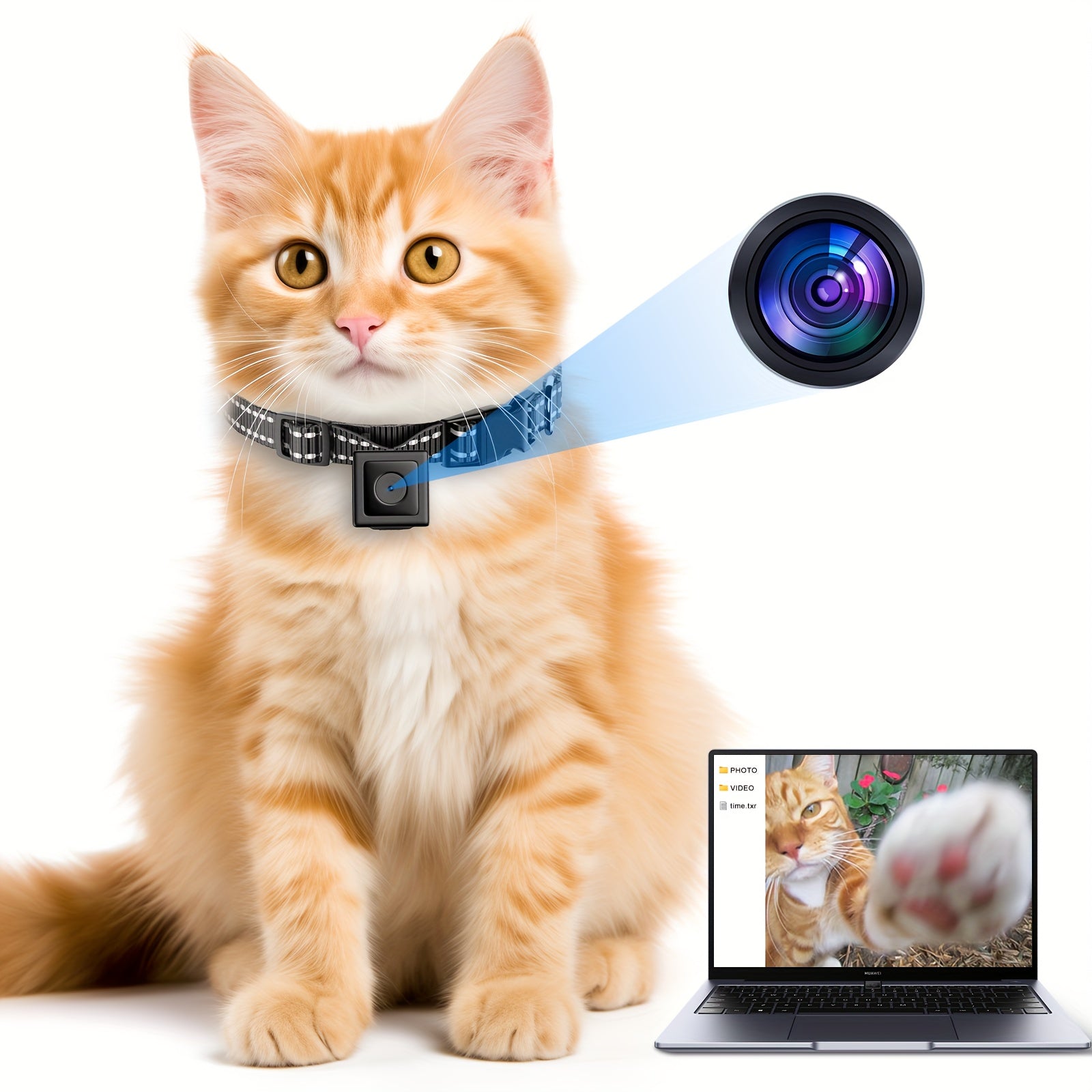 [No WiFi Needed] Cat Collar Camera | XS-Size | Cordless | Video Record | Pet Collar Camera Outdoor