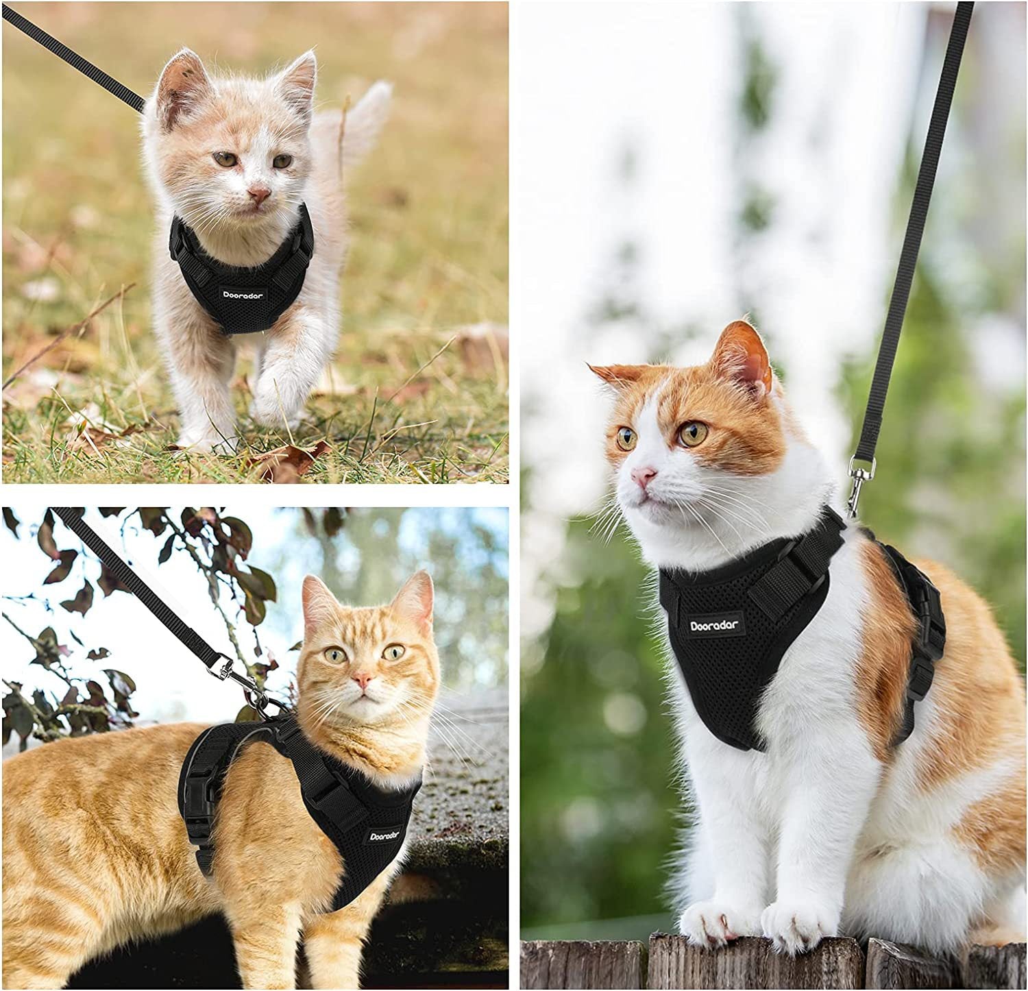 Reflective Pet Harness And Leash Set For Dogs And Cats, Adjustable Puppy Cat Vest Harness With Soft Mesh