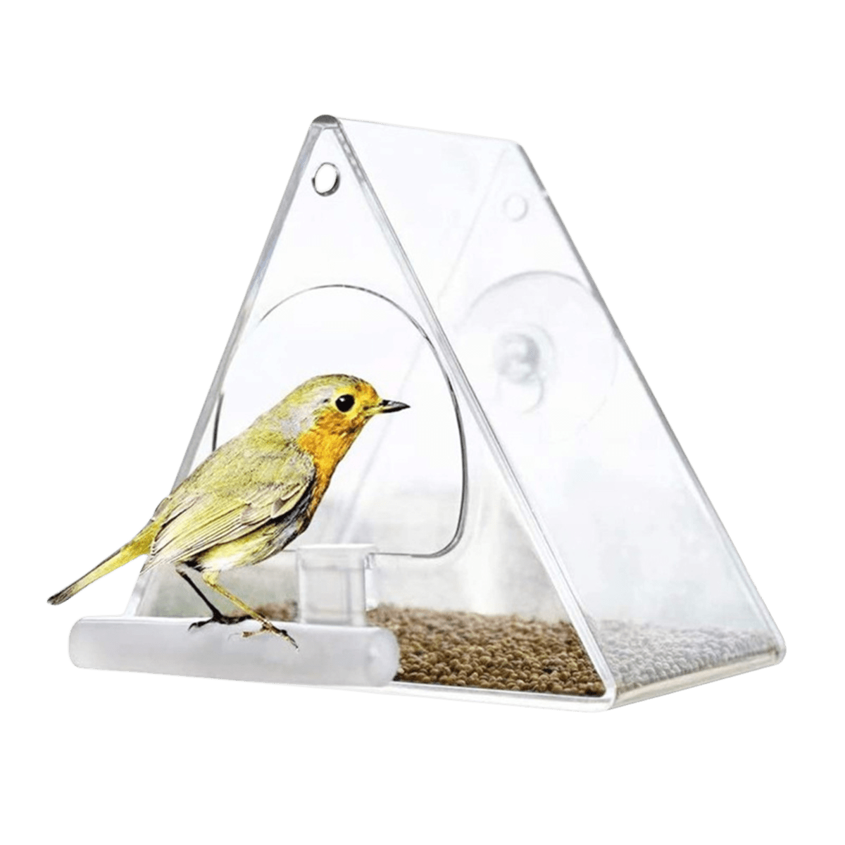 Transparent Acrylic Window Bird Feeder with Strong Suction Cup for Garden and Yard