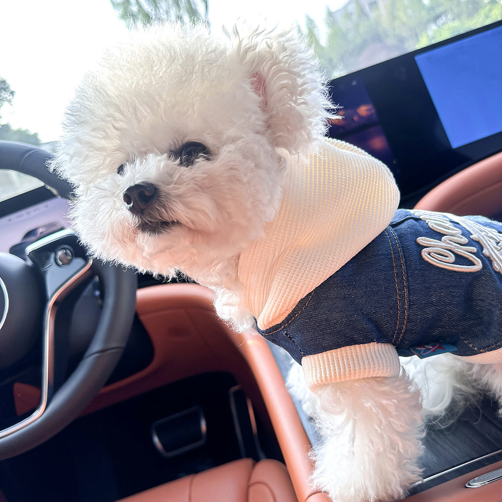 Chic Denim Dog Jacket for Small Breeds - Cozy & Stylish Pet Apparel with Snap Closure, Perfect for Fall/Winter