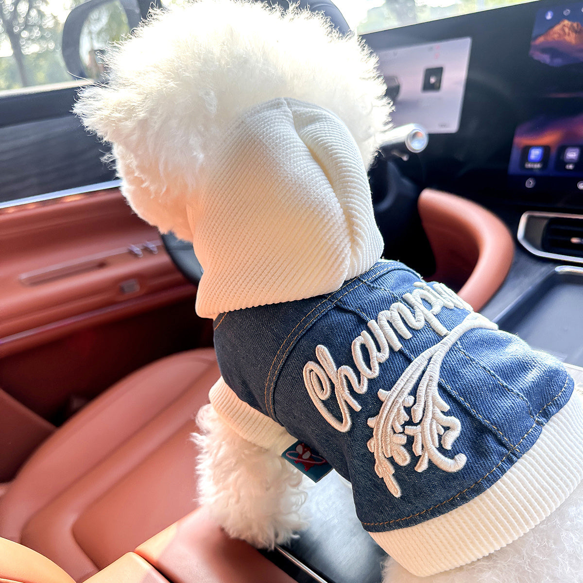 Chic Denim Dog Jacket for Small Breeds - Cozy & Stylish Pet Apparel with Snap Closure, Perfect for Fall/Winter