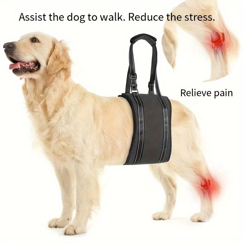 Adjustable Dog Lift Vest, Portable Pet Harness Support, for Large Dogs, Suitable for Elderly, Injured, Arthritis Dogs, with Striped Pattern, Elastic Material, Machine Washable